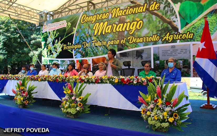 congreso-marango